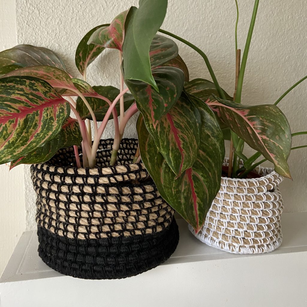 plants inside of decorative baskets