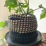 crochet rope basket with small plant