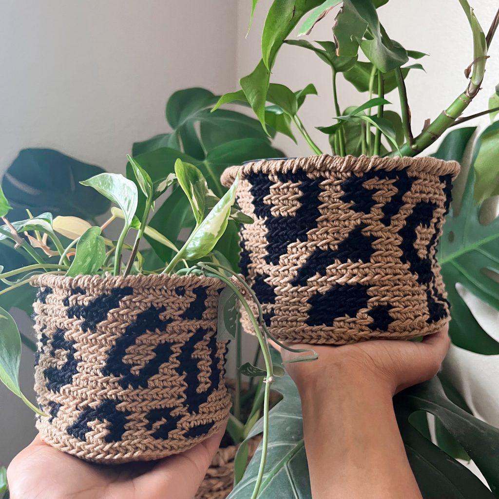 hands holding two crochet baskets with plants