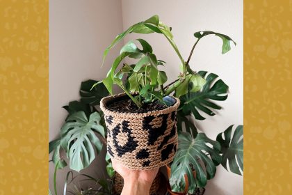 small plant in leopard print basket
